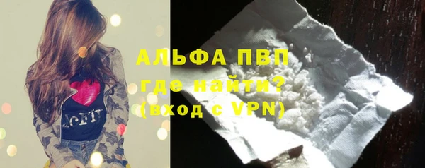 стаф Володарск