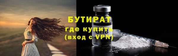гидра Вяземский